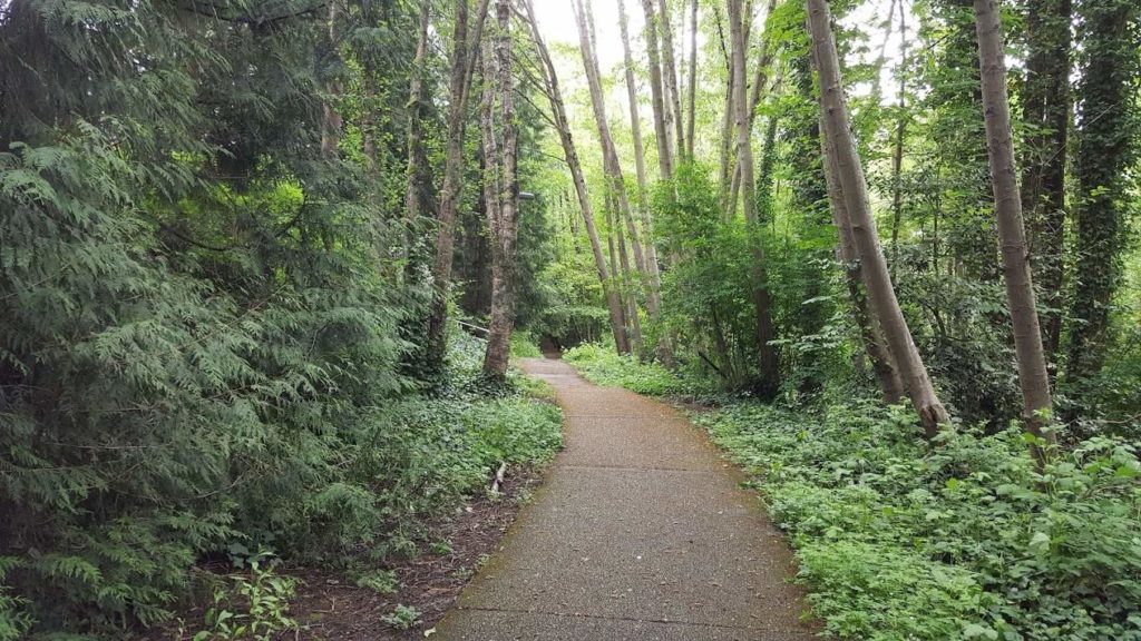 Take a Stroll along the Everett Crowley Trail