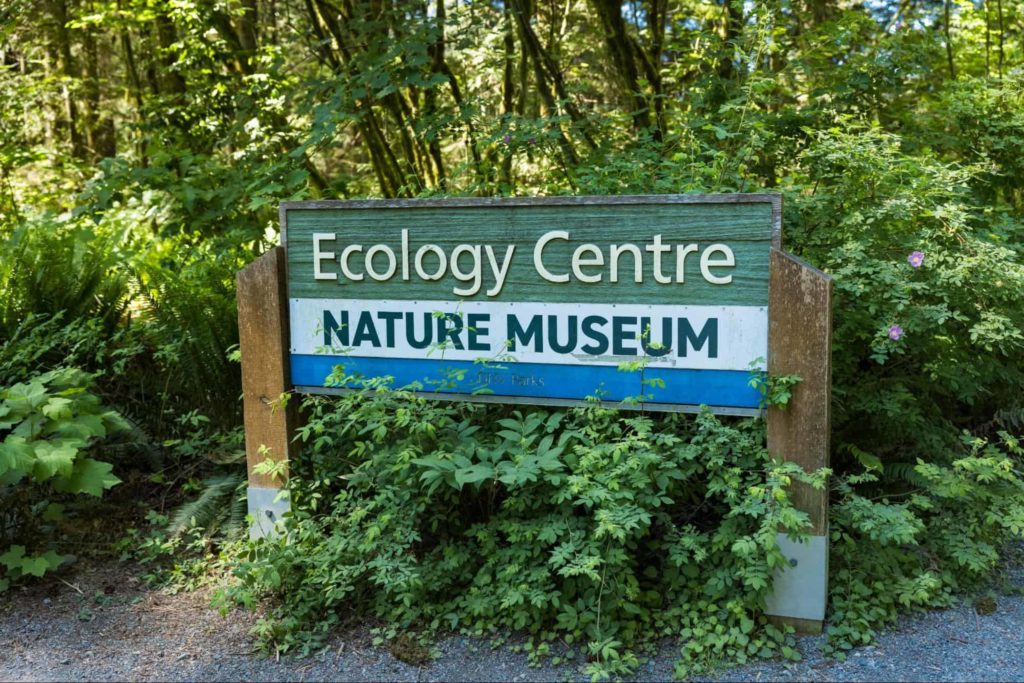 Visit the Lynn Canyon Ecology Centre