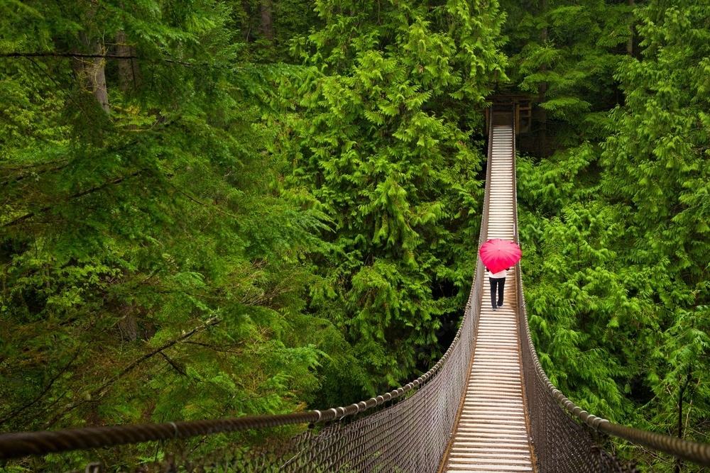 What is Lynn Canyon most known for