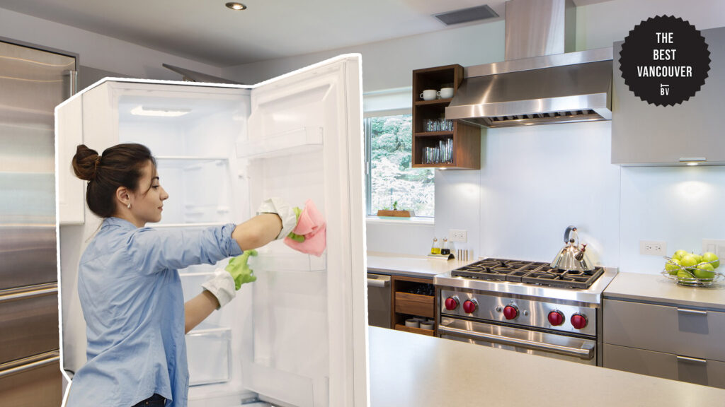 Appliance Cleaning