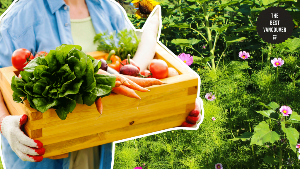 Learn in the Vegetable Garden