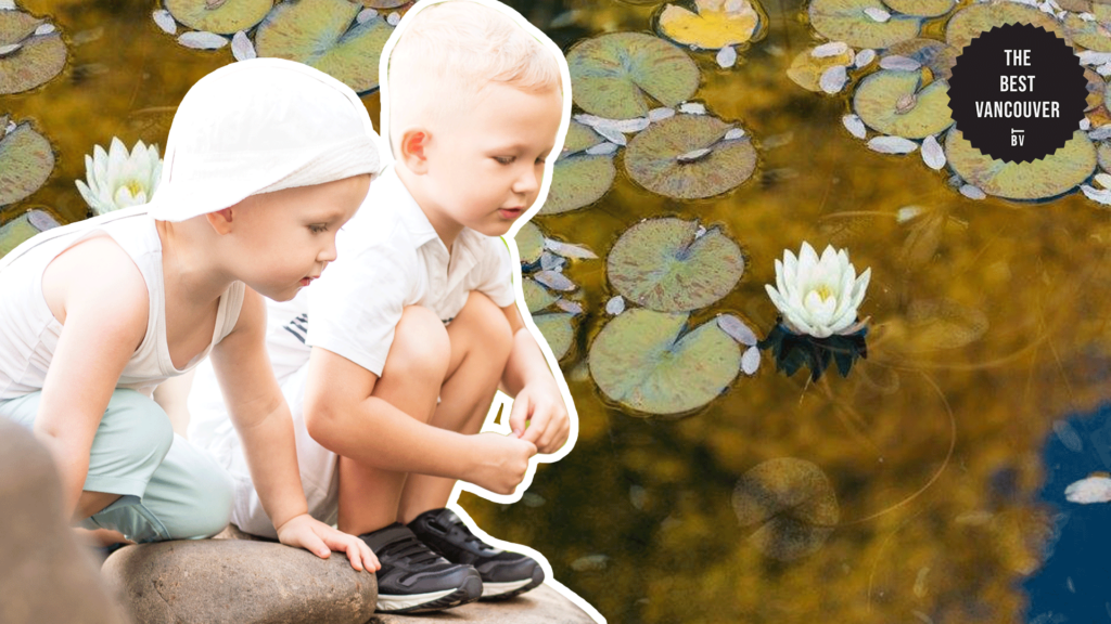 Relax by the Waterlily Pond